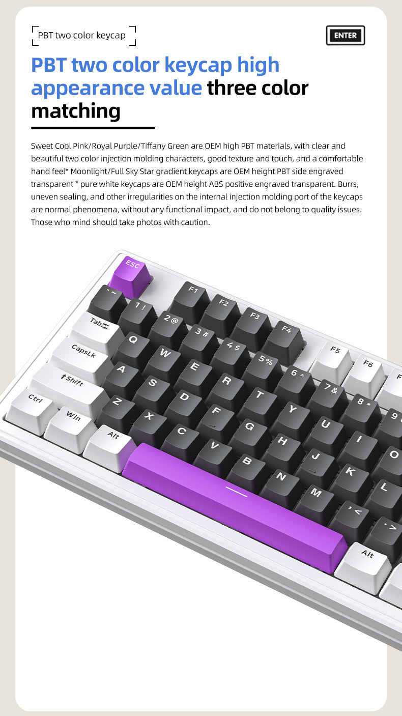 Technology M87 是一款三模無線藍牙機械鍵盤,也支持有線連接,具備 RGB 效果,採用 gasket 結構且支持熱插拔,可客製化,適用於遊戲場景