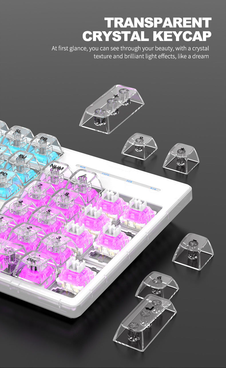 RAIKU L1000 真機械鍵盤,具備 RGB 效果,透明設計,是有線鍵盤,適用於筆記本電腦和遊戲,有冰晶款