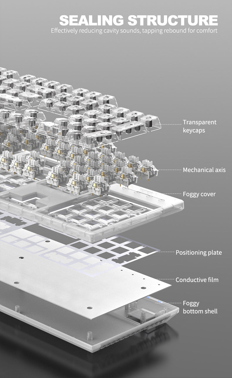 RAIKU L1000 真機械鍵盤,具備 RGB 效果,透明設計,是有線鍵盤,適用於筆記本電腦和遊戲,有冰晶款