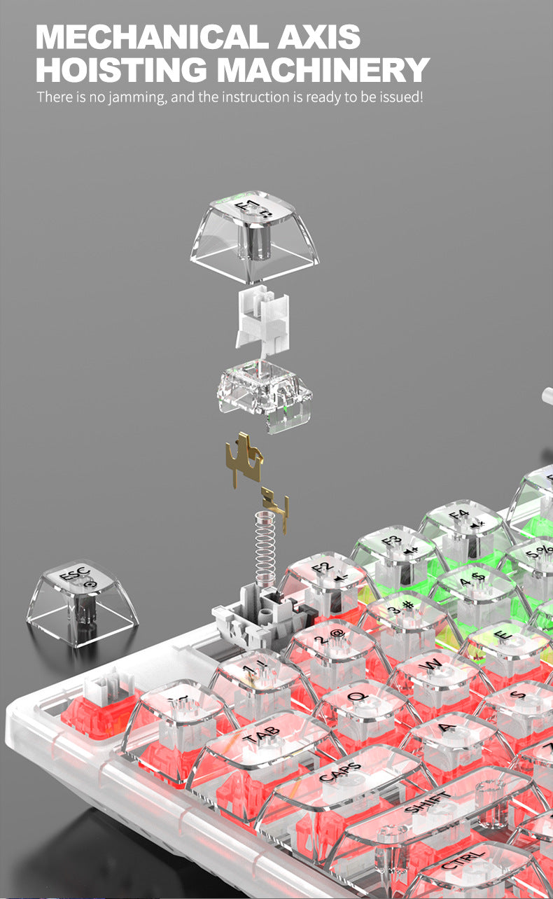 RAIKU L1000 真機械鍵盤,具備 RGB 效果,透明設計,是有線鍵盤,適用於筆記本電腦和遊戲,有冰晶款