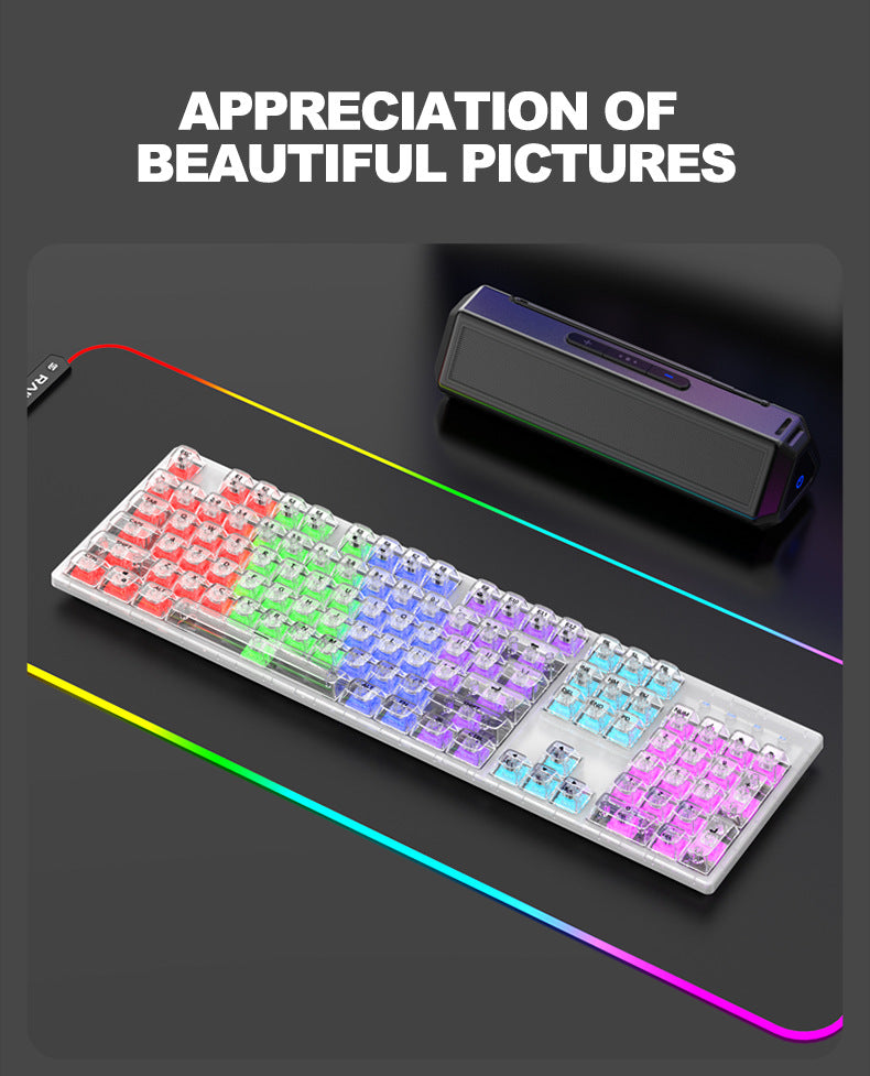 RAIKU L1000 真機械鍵盤,具備 RGB 效果,透明設計,是有線鍵盤,適用於筆記本電腦和遊戲,有冰晶款