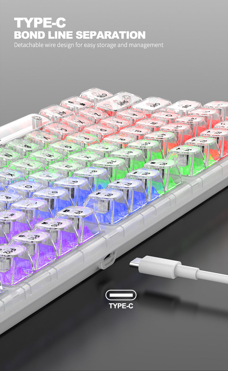 RAIKU L1000 真機械鍵盤,具備 RGB 效果,透明設計,是有線鍵盤,適用於筆記本電腦和遊戲,有冰晶款
