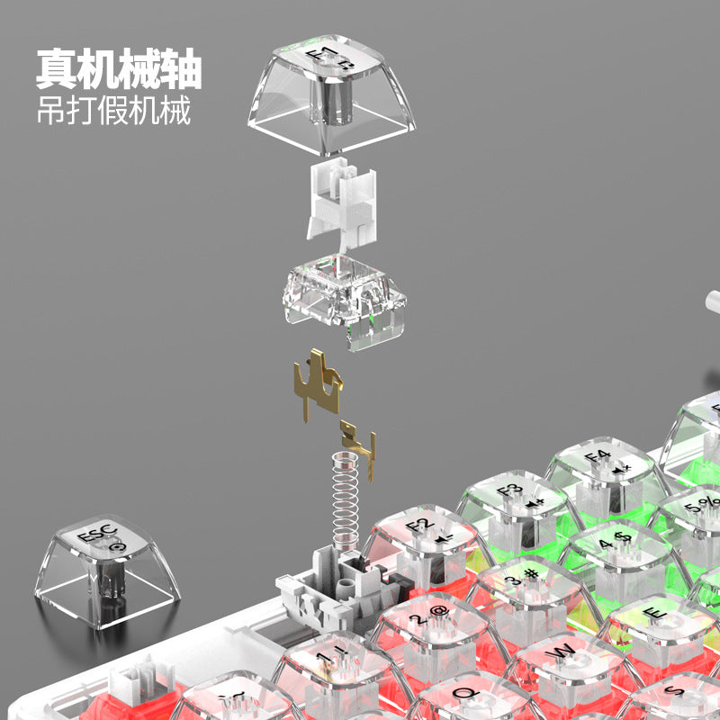RAIKU L1000 真機械鍵盤,具備 RGB 效果,透明設計,是有線鍵盤,適用於筆記本電腦和遊戲,有冰晶款
