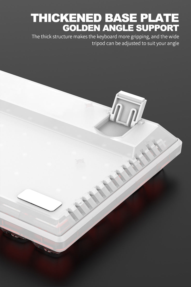 RAIKU L1000 真機械鍵盤,具備 RGB 效果,透明設計,是有線鍵盤,適用於筆記本電腦和遊戲,有冰晶款