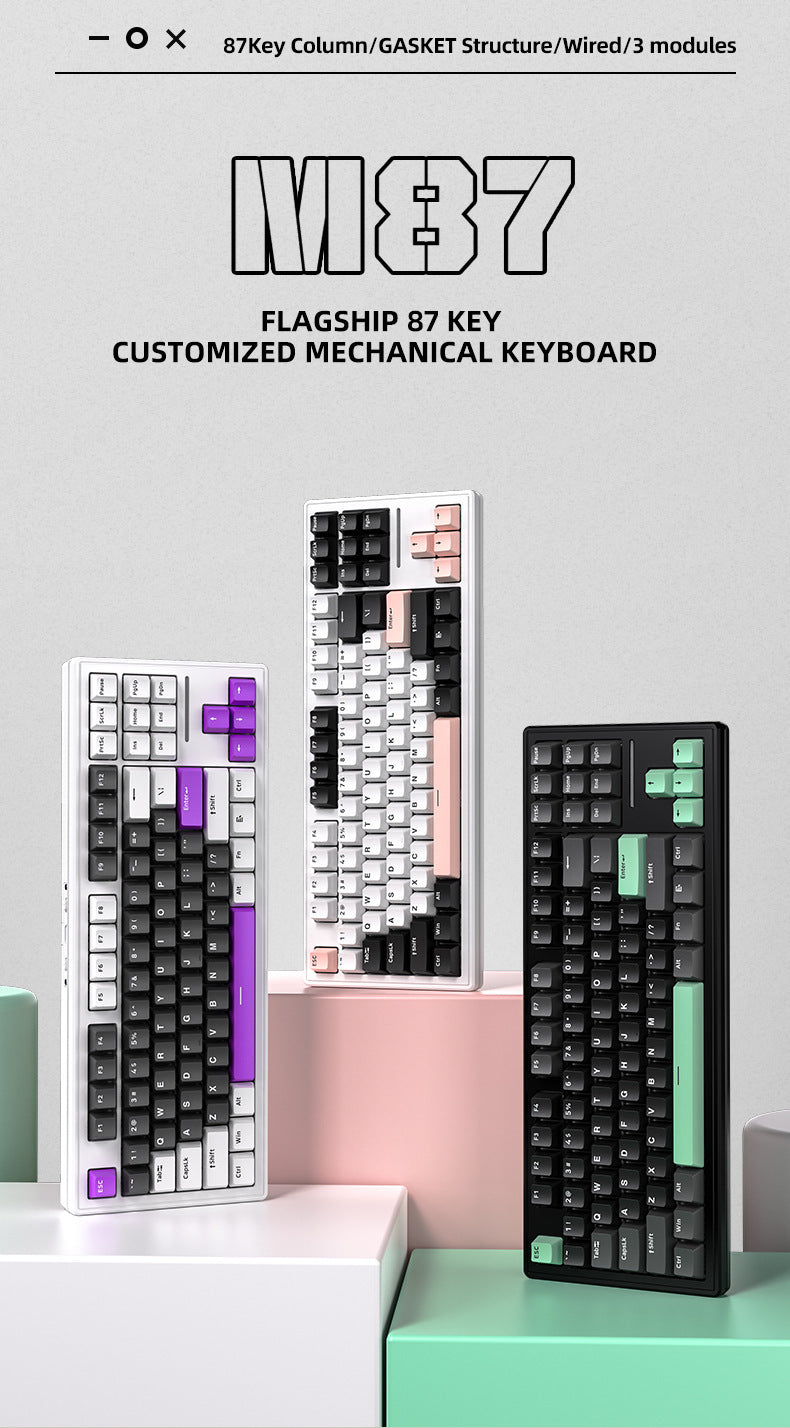 Technology M87 是一款三模無線藍牙機械鍵盤,也支持有線連接,具備 RGB 效果,採用 gasket 結構且支持熱插拔,可客製化,適用於遊戲場景