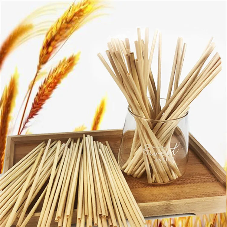 麥草餐具套裝定制盒子包裝 | 一次性吸管可印標誌 環保餐具全套方案