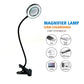 Magnifying glass with light, embroidery, beauty study, work lamp, dimmable color hose, eye protection, reading clip lamp