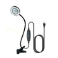 Magnifying glass with light, embroidery, beauty study, work lamp, dimmable color hose, eye protection, reading clip lamp