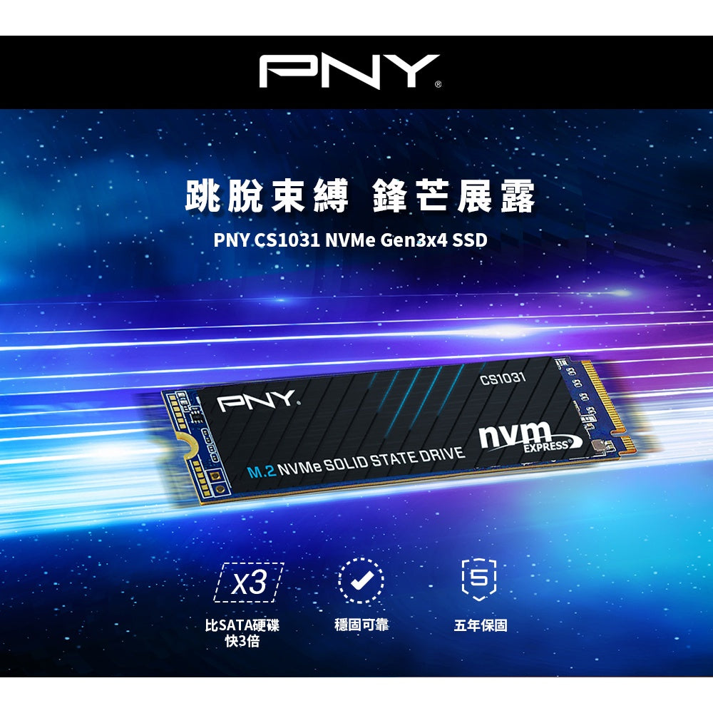 PNY CS1031 256GB/500GB M.2 2280 NVMe Gen3x4 SSD