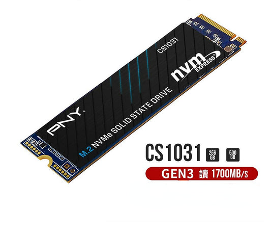 PNY CS1031 1TB/ 2TB M.2 2280 NVMe Gen3x4 SSD