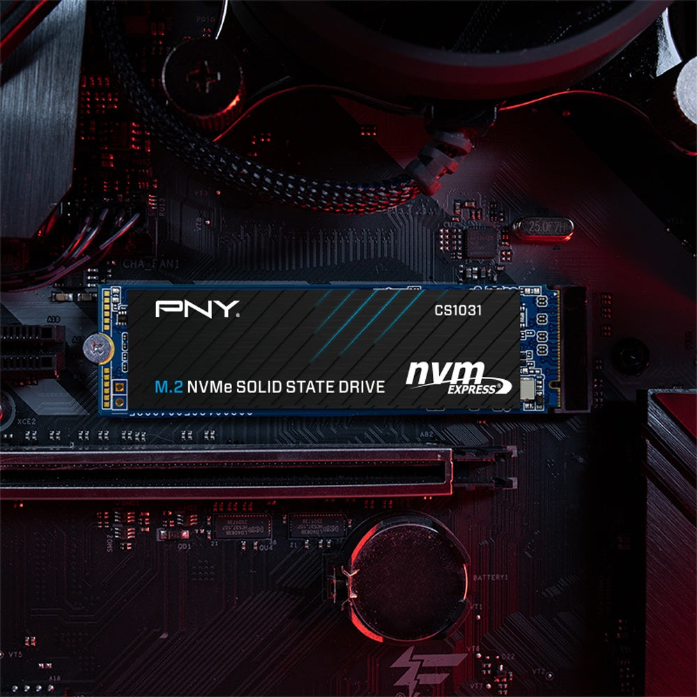 PNY CS1031 256GB/500GB M.2 2280 NVMe Gen3x4 SSD